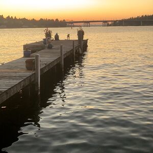 Gallery Photo 13