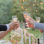 Group cheering wine glasses at dinner table.