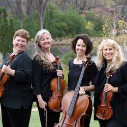  The Birchwood String Quartet, profile image