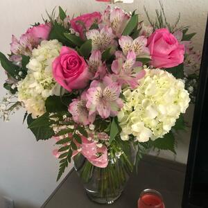 Gallery Photo 5