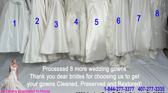 Bridal Gown Preservation Bridal Salons The Knot