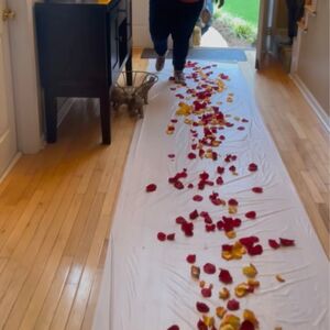 Gallery Photo 2