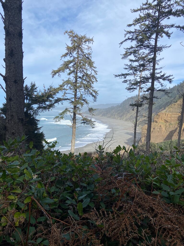 We flew together (for the first time) to Eureka in Northern California. 