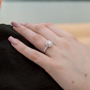 Gallery Photo 11