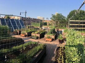Uncommon Ground (EdgeWater) - Rooftop Farm - Rooftop Bar - Chicago, IL - Hero Gallery 1