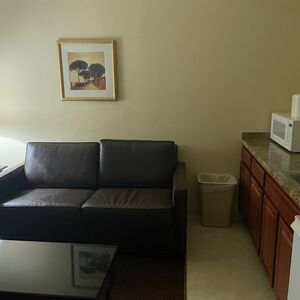 Gallery Photo 1