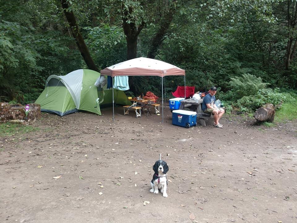 First camping trip with Audia
- Mendocino, CA