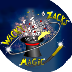 Wacky Zack's Magic And Balloons Entertainers, profile image