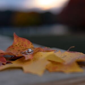 Gallery Photo 22