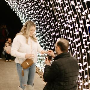Gallery Photo 8