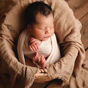 Gallery Photo 43