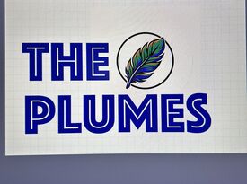 The Plumes - Dance Band - Philadelphia, PA - Hero Gallery 3