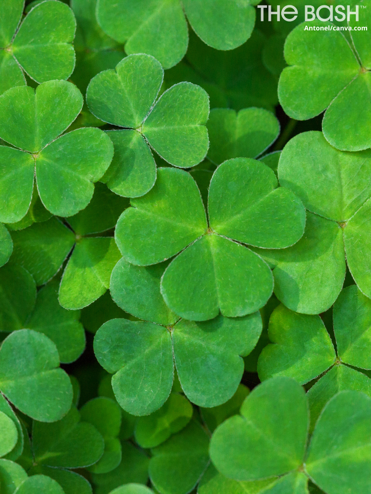 27 St Patrick S Day Zoom Backgrounds Free Download