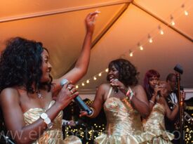 Sha'on And The Girls With Success - Motown Band - Metairie, LA - Hero Gallery 3