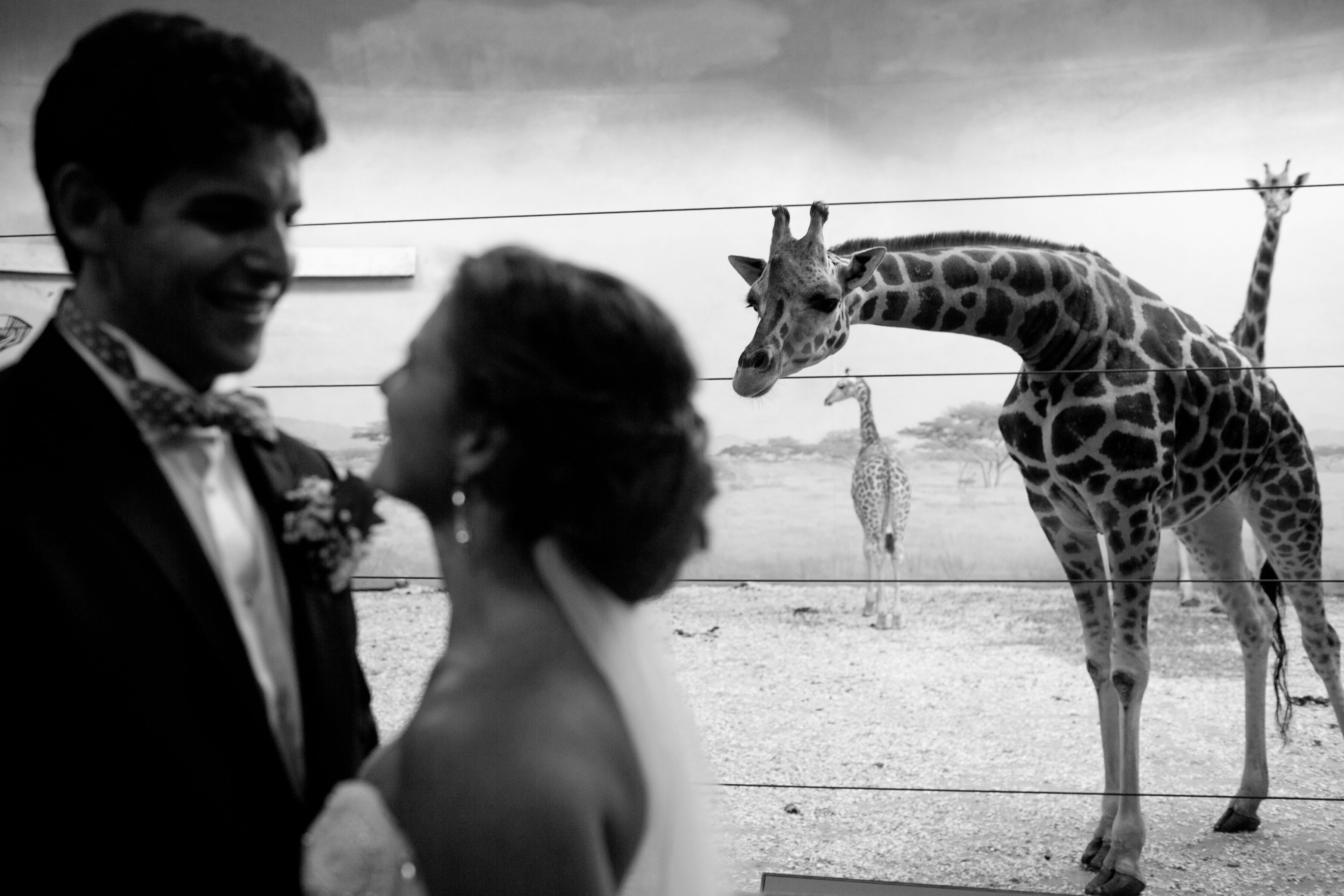 Bronx Zoo - NY Zoos & Aquarium | Reception Venues - The Knot