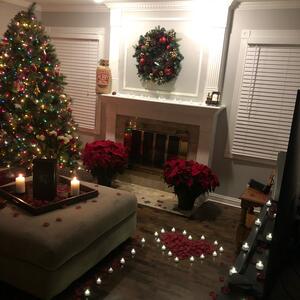 Gallery Photo 52