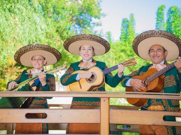 Aurelio Reyes El Gallo de Chiapas Mariachi Trio - Mariachi Band - Los Angeles, CA - Hero Main