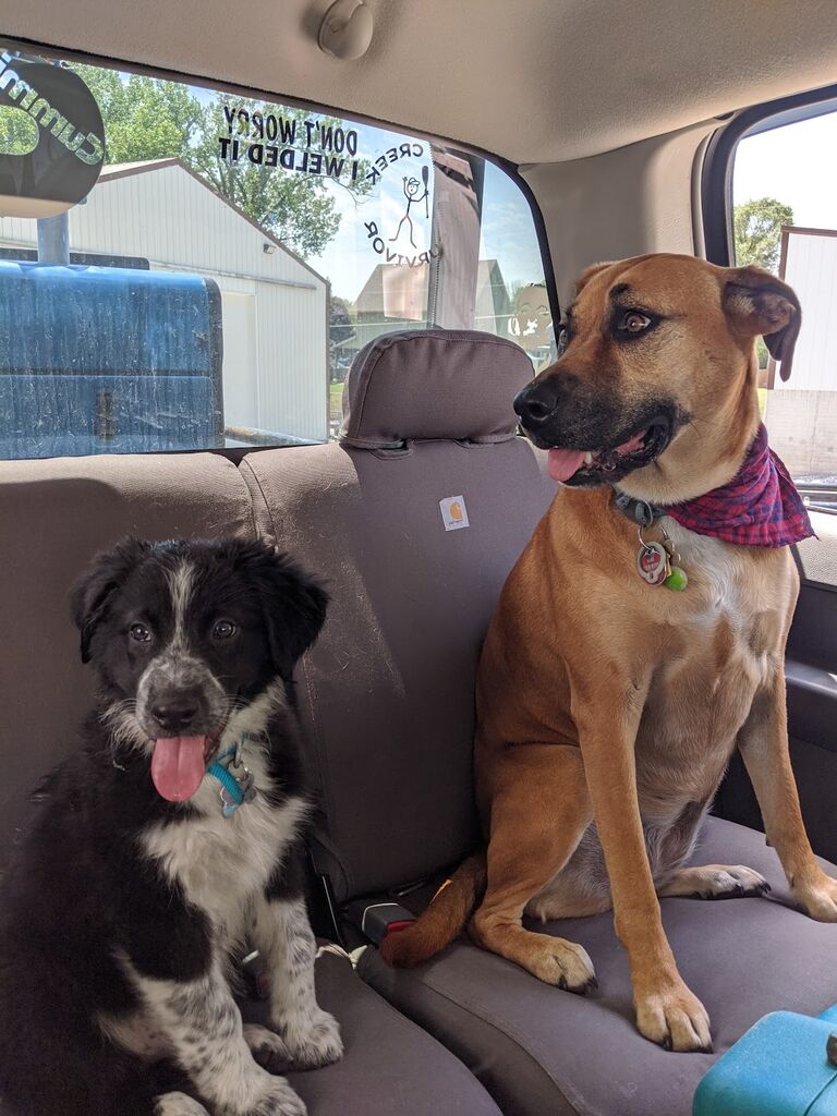Hazel and Finley