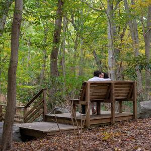 Gallery Photo 20