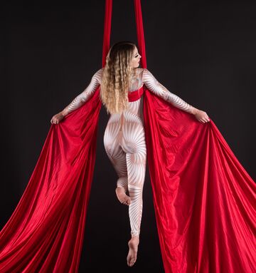 Fire Lily Entertainment - Circus Performer - Los Angeles, CA - Hero Main