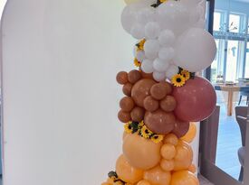 The Balloon Lady - Balloon Decorator - New Orleans, LA - Hero Gallery 1