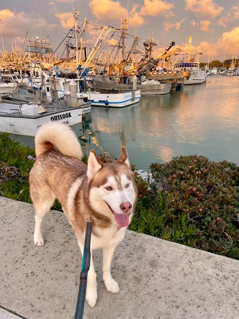 Moved to Ventura!