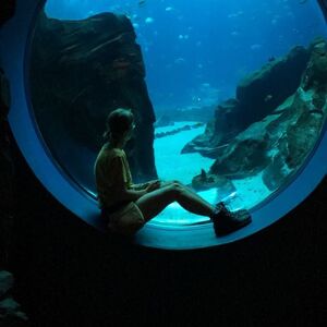 Gallery Photo 23