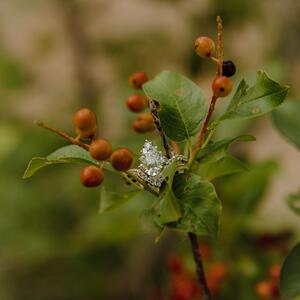 Gallery Photo 21