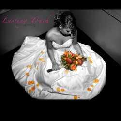 Lasting Touch Photography, profile image