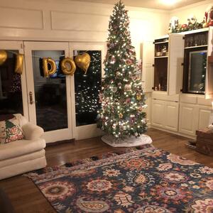 Gallery Photo 33