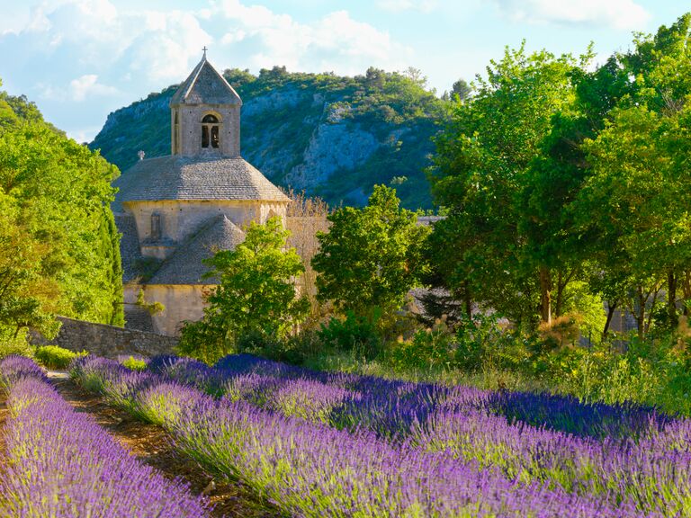 the Abbey de Senanque with a field of lavender