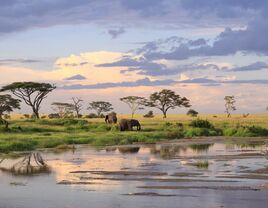 The Definitive Tanzania Honeymoon Guide