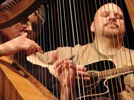 TAPESTRY - Denise & Michael Grupp-Verbon - Harpist - Toledo, OH - Hero Gallery 4
