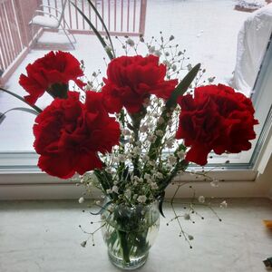 Gallery Photo 4