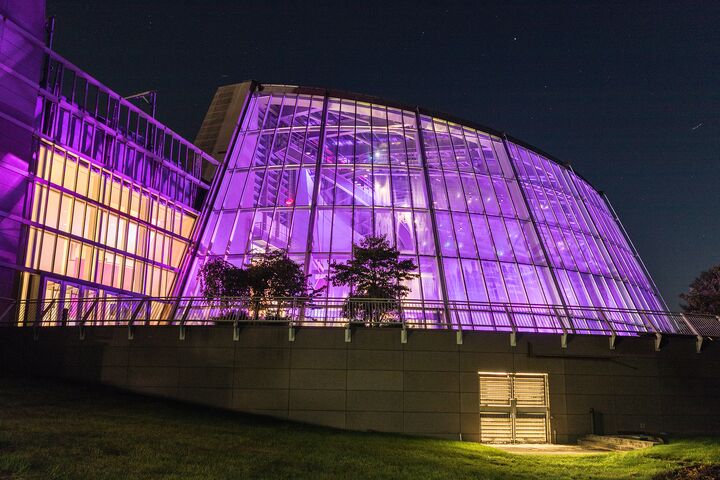 Mashantucket Pequot Museum | Reception Venues - The Knot