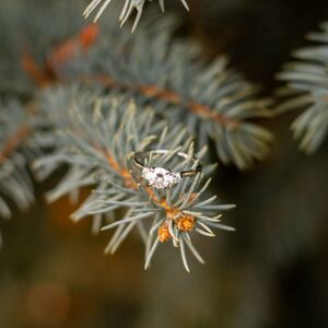 Gallery Photo 23