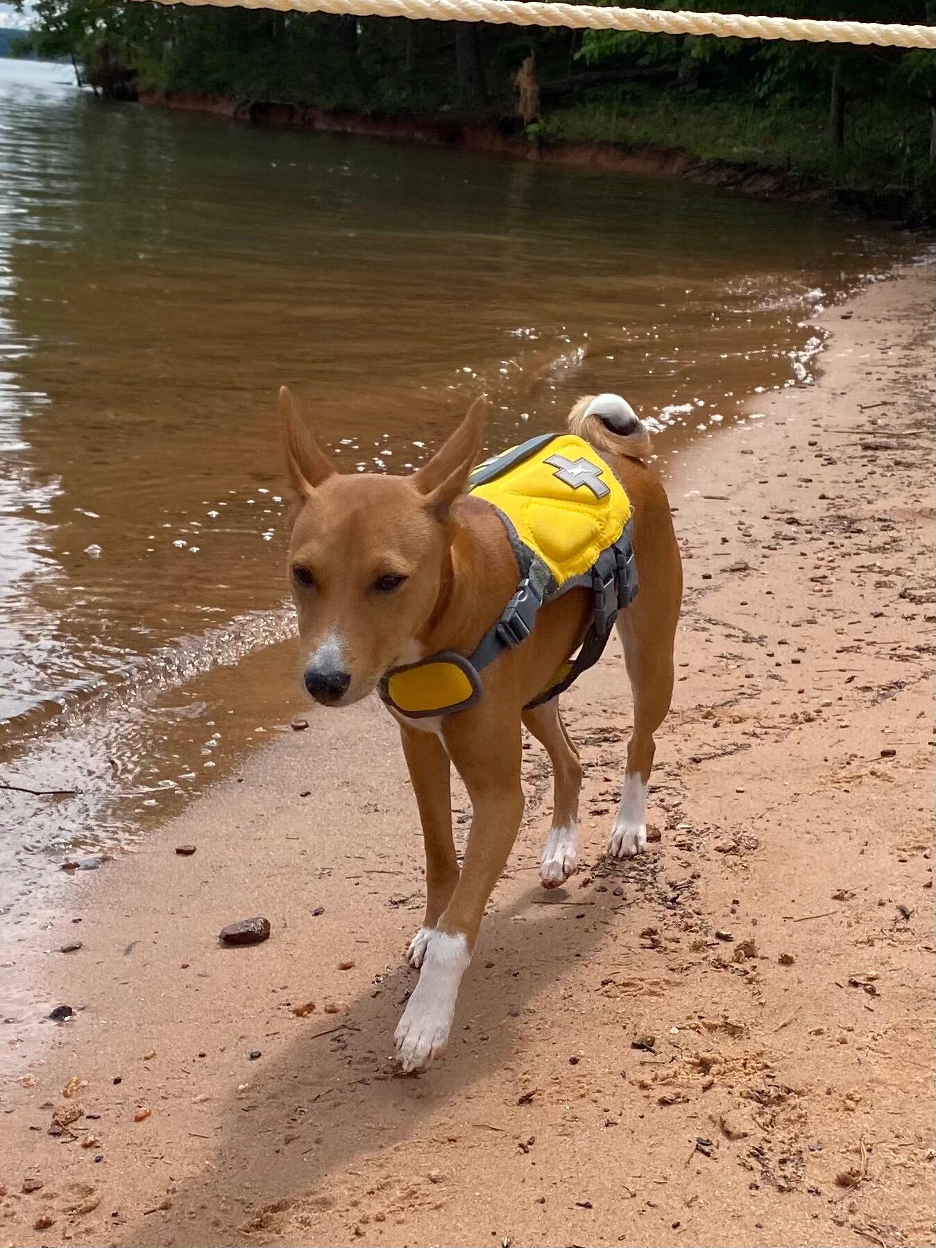 Leo’s First Lake Trip