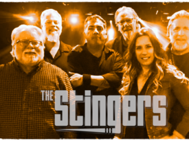 The Stingers Music - Classic Rock Band - Chicago, IL - Hero Gallery 2