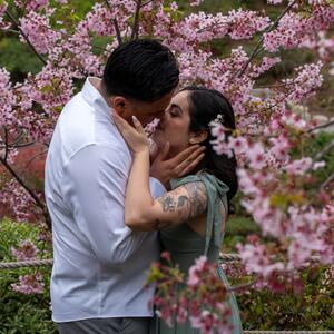 Gallery Photo 24