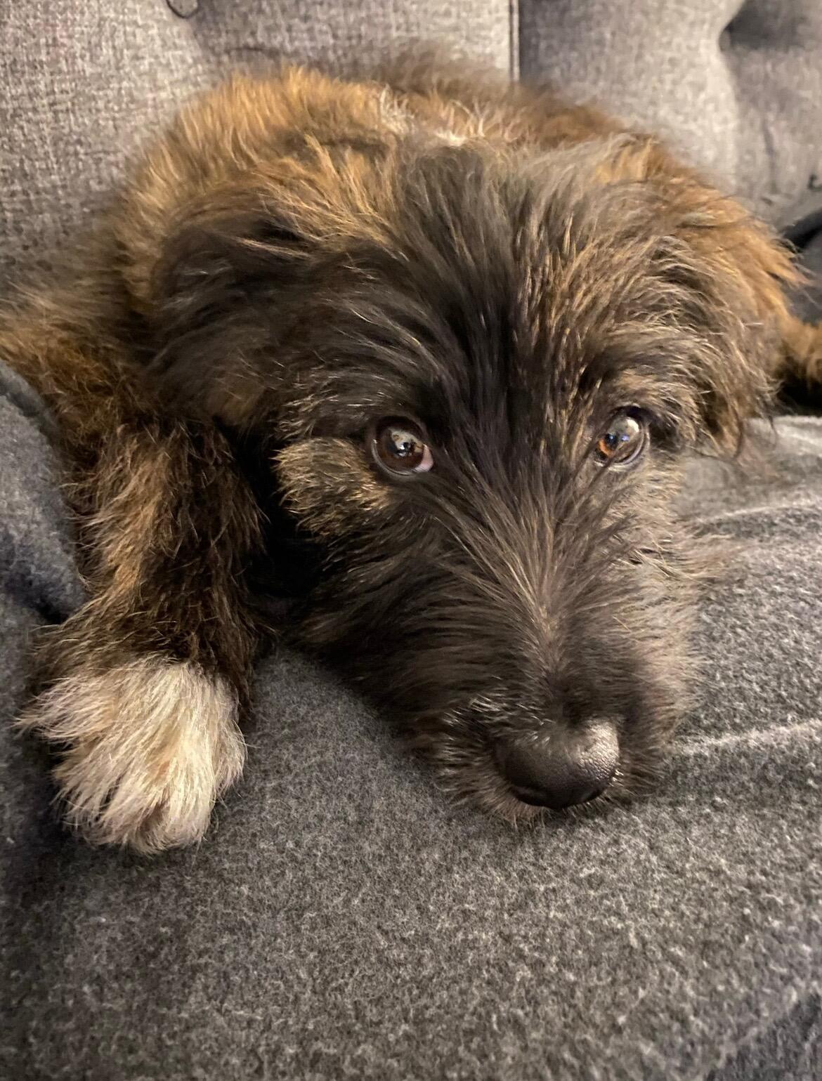 When our daughter came along