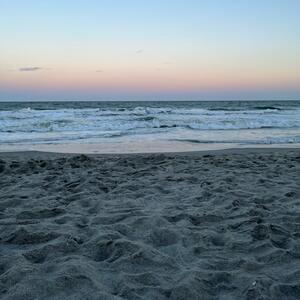Gallery Photo 16