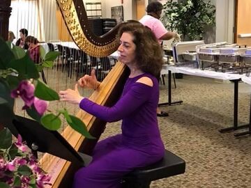 Harp Music By Lisa Handman (harpnotes) - Harpist - Alpharetta, GA - Hero Main