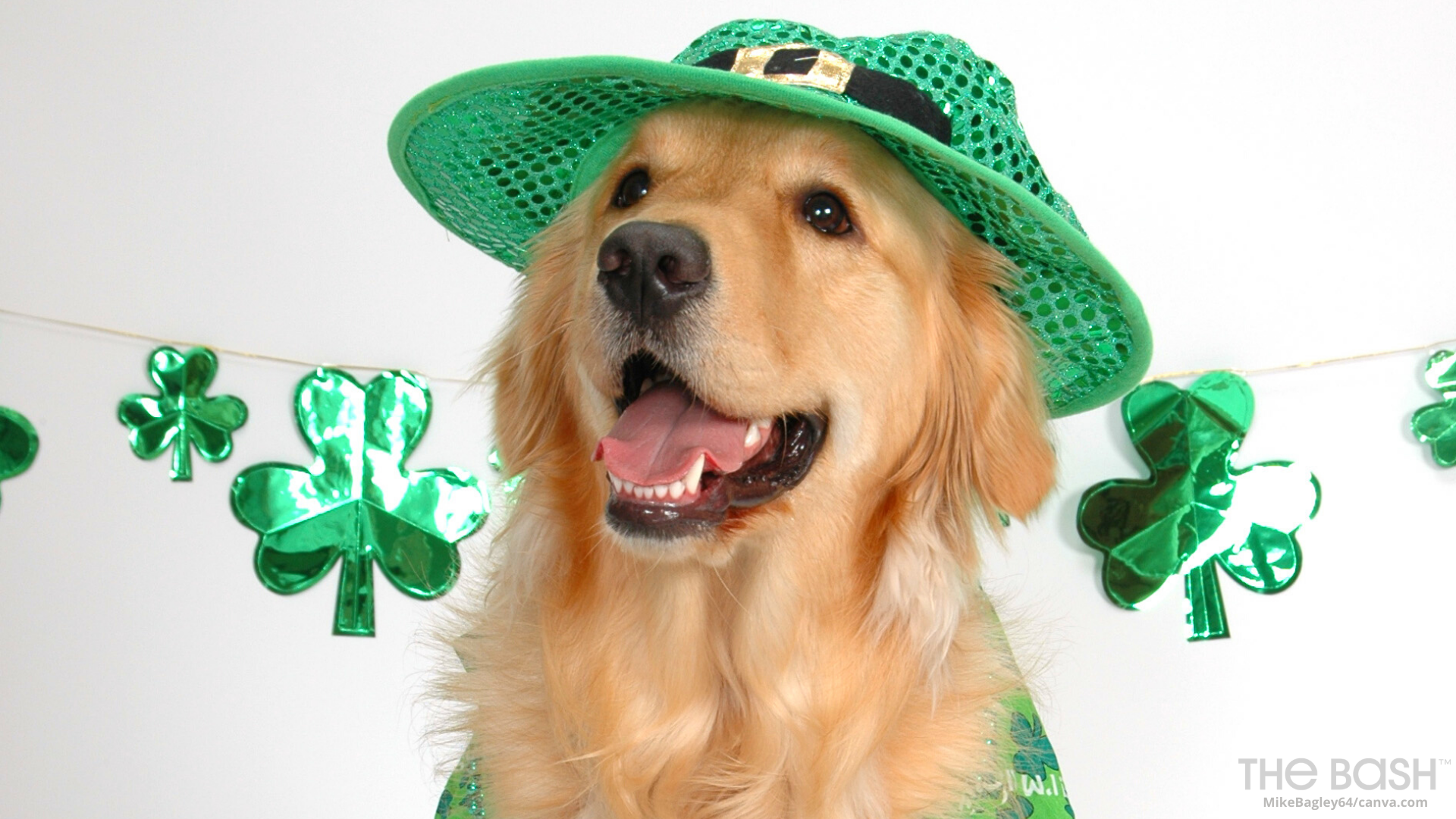 The Best St. Patrick's Day Zoom Backgrounds