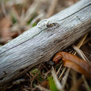 Gallery Photo 24
