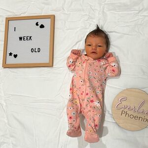 Gallery Photo 68