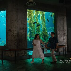 Gallery Photo 13