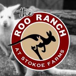 The Roo Ranch by Stokoe Farms & 2 Barn Farm, profile image