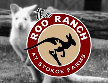 The Roo Ranch by Stokoe Farms - Petting Zoo - Scottsville, NY - Hero Main