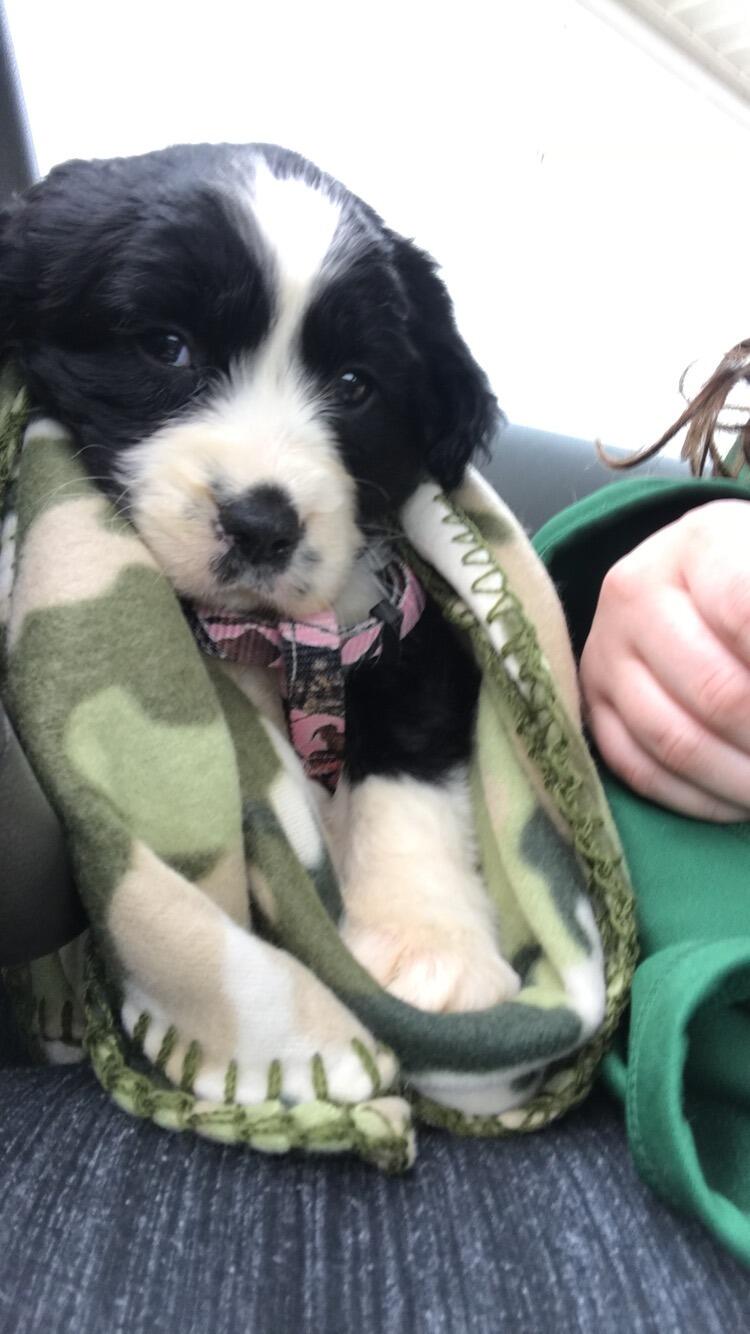 Mia and Evan welcome a new member to the family! We love you Mila <3 