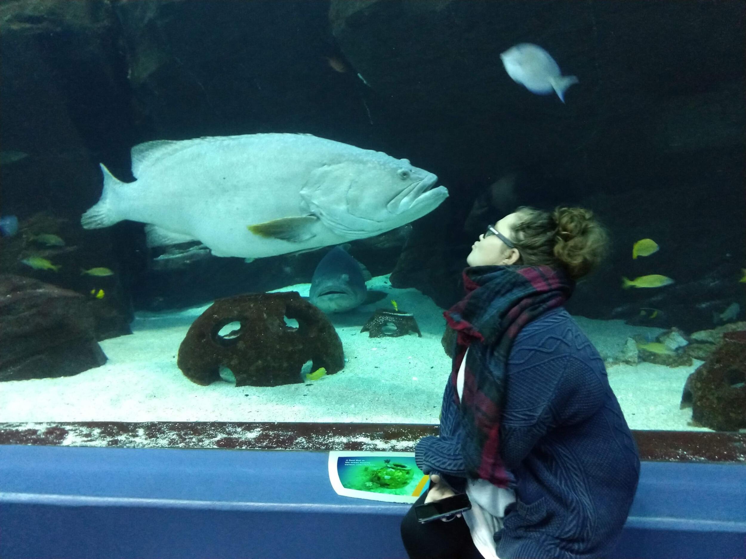 Each year Daniel and Jasmine take a trip for their anniversary to make memories that last a lifetime. During 2018, they traveled to one of Jasmine's favorite places: the Georgia Aquarium.